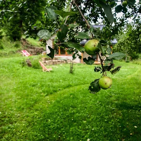 Appartement Pod Klonem Szczawnica
